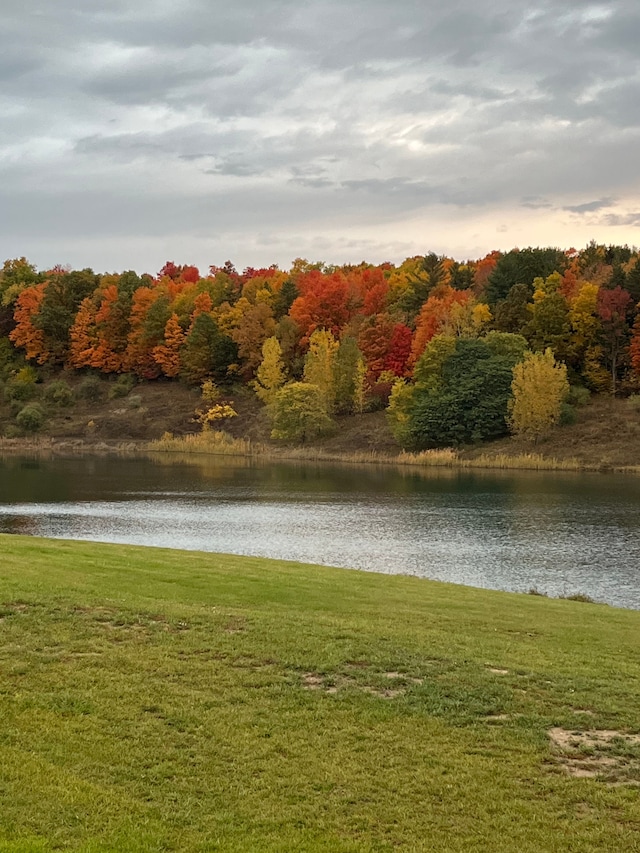 view of community with a water view and a lawn