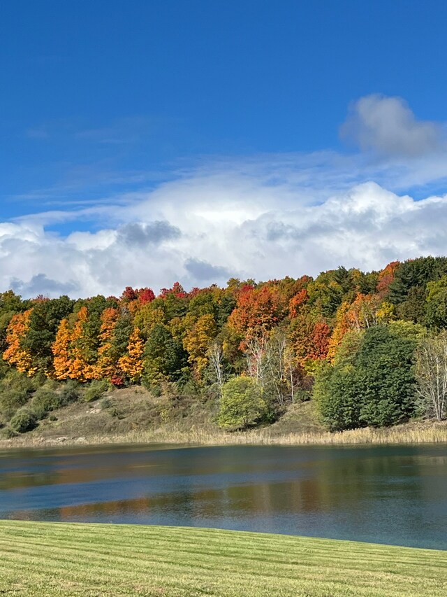 829 N Van Dyke Rd, Imlay City, MI 48444 - water view with a heavily wooded area