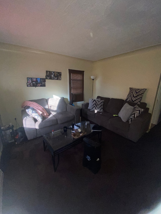 carpeted living room with a textured ceiling