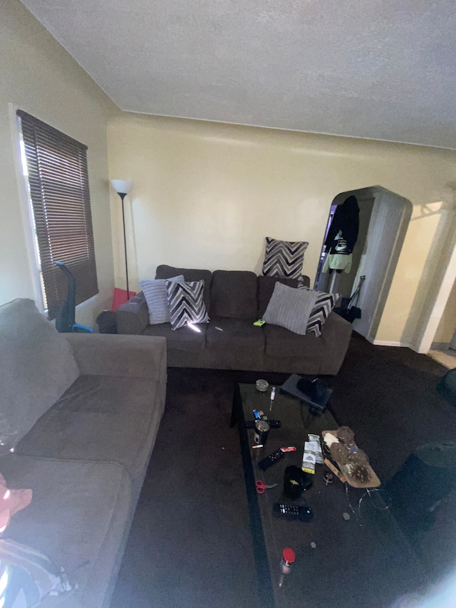 living room featuring carpet flooring and a textured ceiling