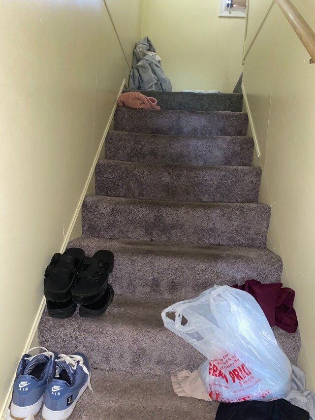 staircase with carpet flooring