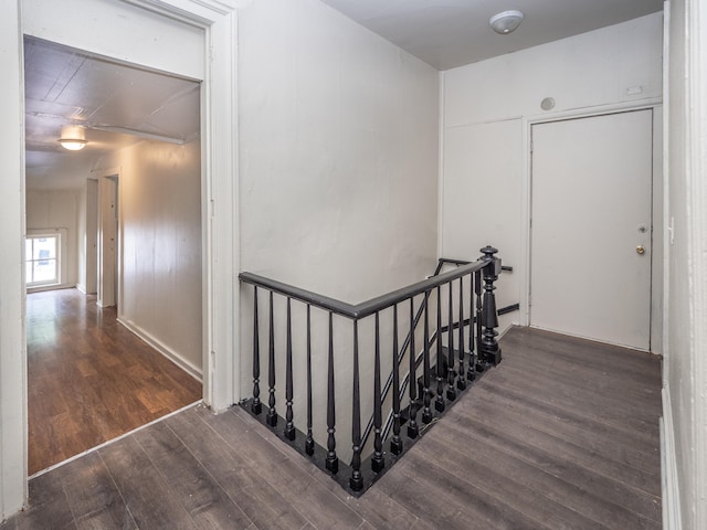 stairway with hardwood / wood-style flooring