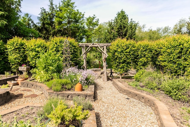 1477 E Hastings Lake Rd, Jonesville, MI 49250 - view of yard