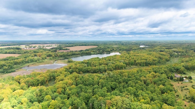 1477 E Hastings Lake Rd, Jonesville, MI 49250 - drone / aerial view of a heavily wooded area and a nearby body of water