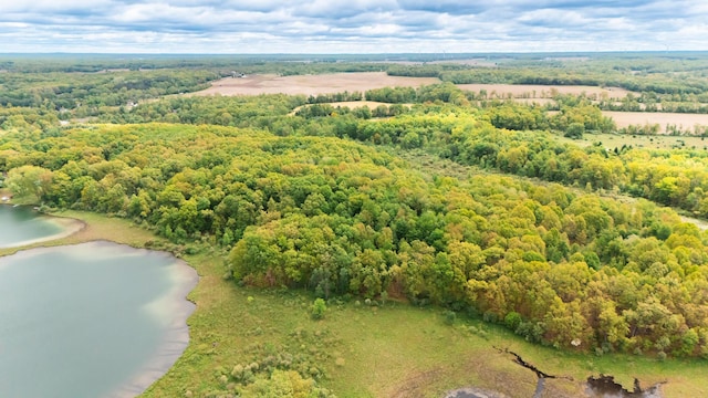 1477 E Hastings Lake Rd, Jonesville, MI 49250 - aerial view of a large body of water and a forest