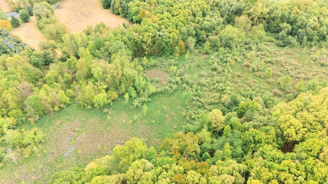 1477 E Hastings Lake Rd, Jonesville, MI 49250 - aerial overview of property's location featuring a heavily wooded area