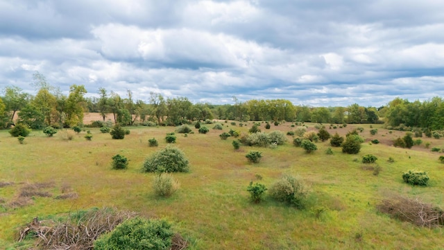 1477 E Hastings Lake Rd, Jonesville, MI 49250 - view of local wilderness featuring rural landscape