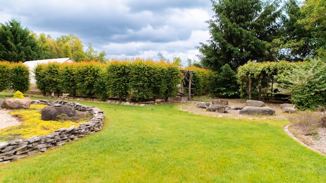 1477 E Hastings Lake Rd, Jonesville, MI 49250 - view of grassy yard