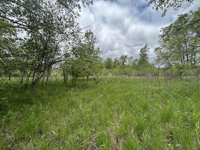 1477 E Hastings Lake Rd, Jonesville, MI 49250 - view of undeveloped land