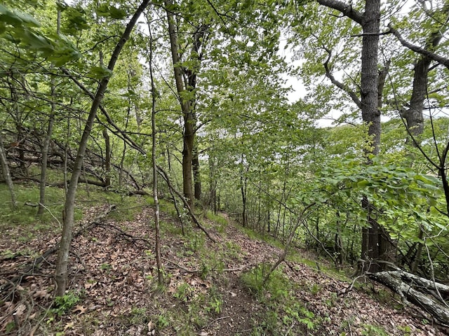 1477 E Hastings Lake Rd, Jonesville, MI 49250 - view of tree filled area