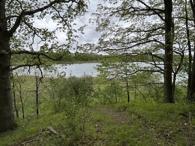 1477 E Hastings Lake Rd, Jonesville, MI 49250 - water view featuring a forest