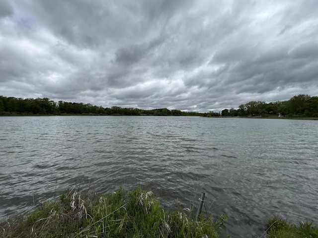1477 E Hastings Lake Rd, Jonesville, MI 49250 - water view
