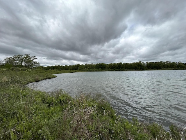 1477 E Hastings Lake Rd, Jonesville, MI 49250 - water view