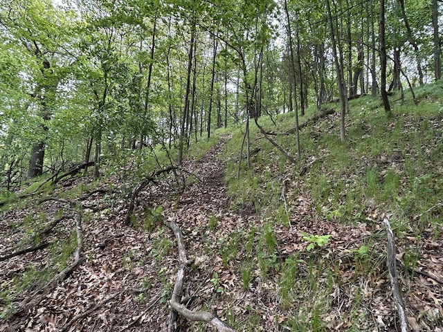 1477 E Hastings Lake Rd, Jonesville, MI 49250 - view of local wilderness