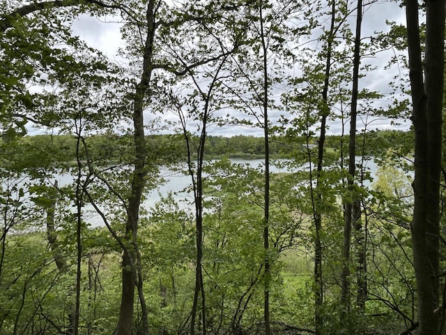 1477 E Hastings Lake Rd, Jonesville, MI 49250 - water view with a heavily wooded area