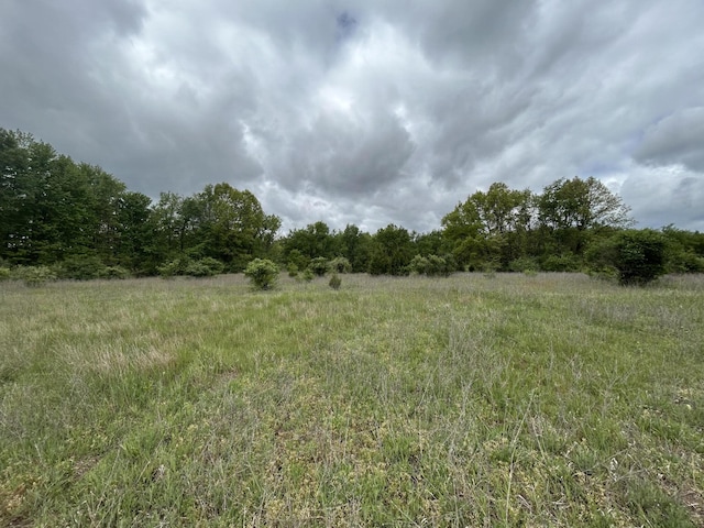 1477 E Hastings Lake Rd, Jonesville, MI 49250 - view of local wilderness with rural landscape