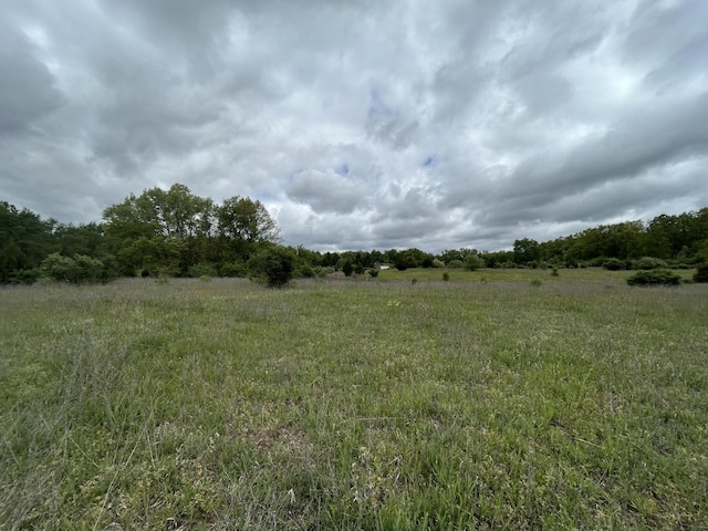 1477 E Hastings Lake Rd, Jonesville, MI 49250 - view of local wilderness with rural landscape