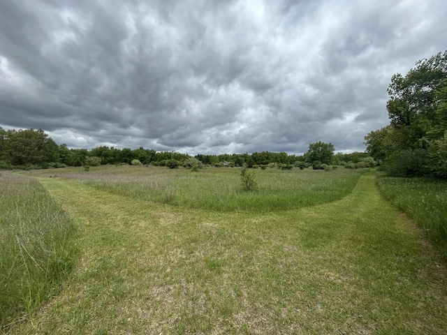 1477 E Hastings Lake Rd, Jonesville, MI 49250 - view of yard