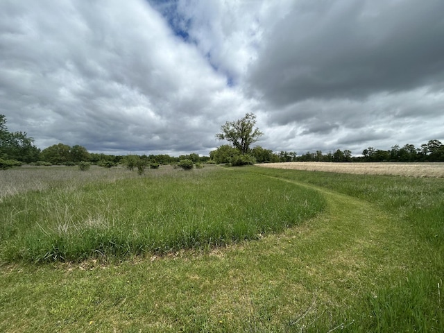 1477 E Hastings Lake Rd, Jonesville, MI 49250 - view of local wilderness featuring rural landscape