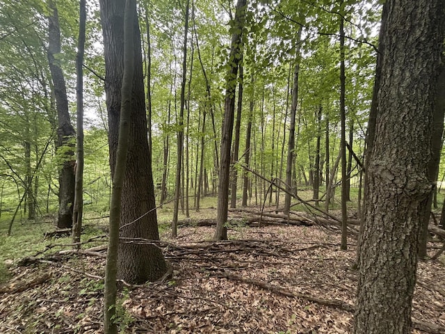 1477 E Hastings Lake Rd, Jonesville, MI 49250