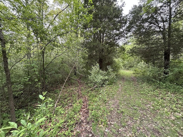 1477 E Hastings Lake Rd, Jonesville, MI 49250