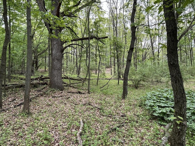 1477 E Hastings Lake Rd, Jonesville, MI 49250 - view of woods