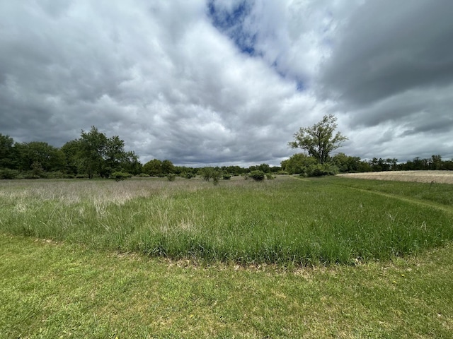 1477 E Hastings Lake Rd, Jonesville, MI 49250 - view of nature