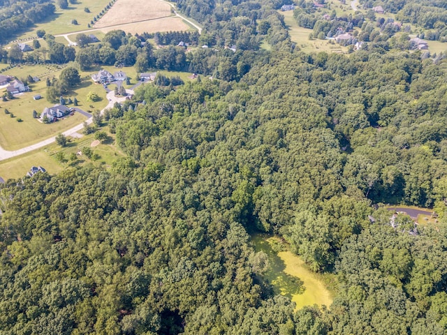8045 Trail Rdg, Dexter, MI 48130 - photo 5