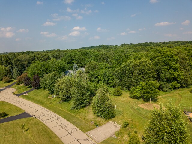 8045 Trail Rdg, Dexter, MI 48130 - photo 8