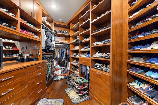 spacious closet featuring dark hardwood / wood-style floors