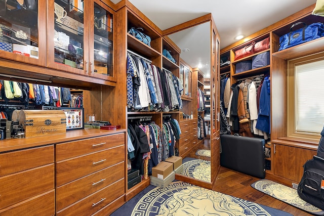 spacious closet with dark hardwood / wood-style floors