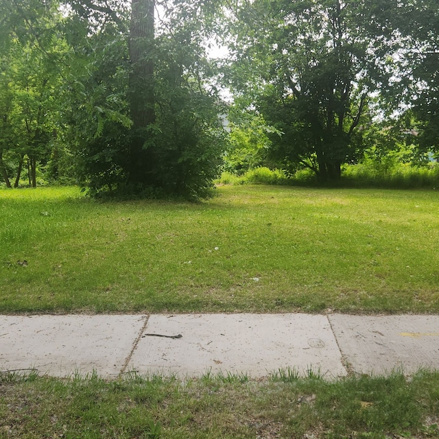 877 Manistique St, Detroit, MI 48215 - photo 1
