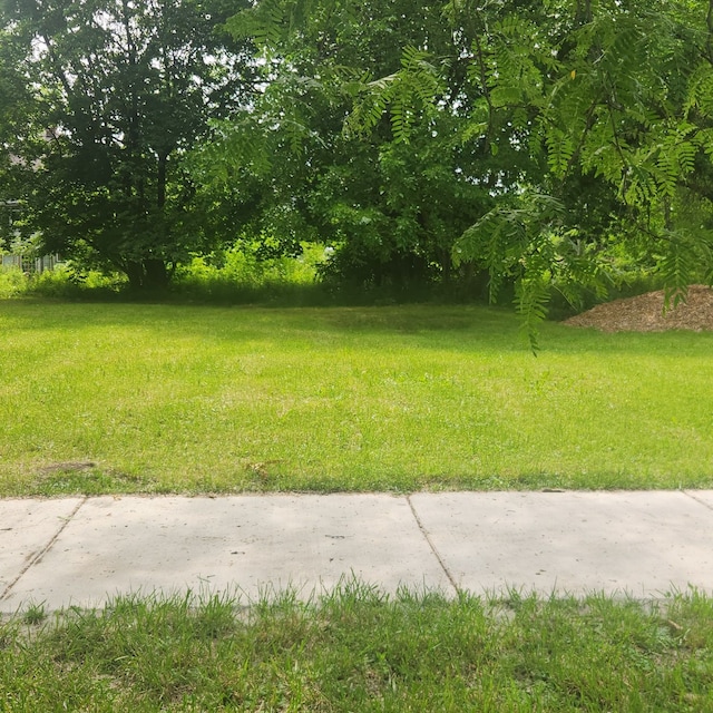 877 Manistique St, Detroit, MI 48215 - photo 3