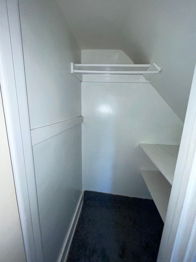 walk in closet with carpet