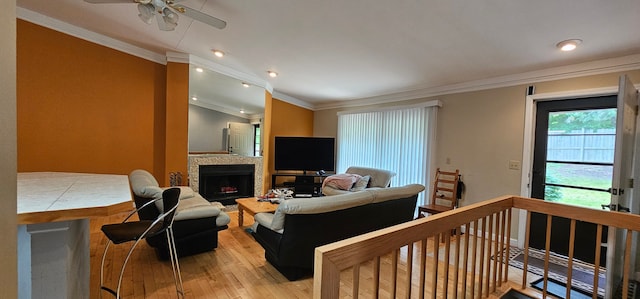 living room featuring crown molding, light hardwood / wood-style flooring, and ceiling fan