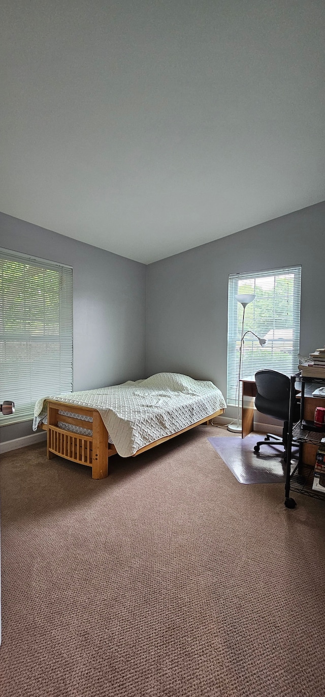 bedroom with carpet floors