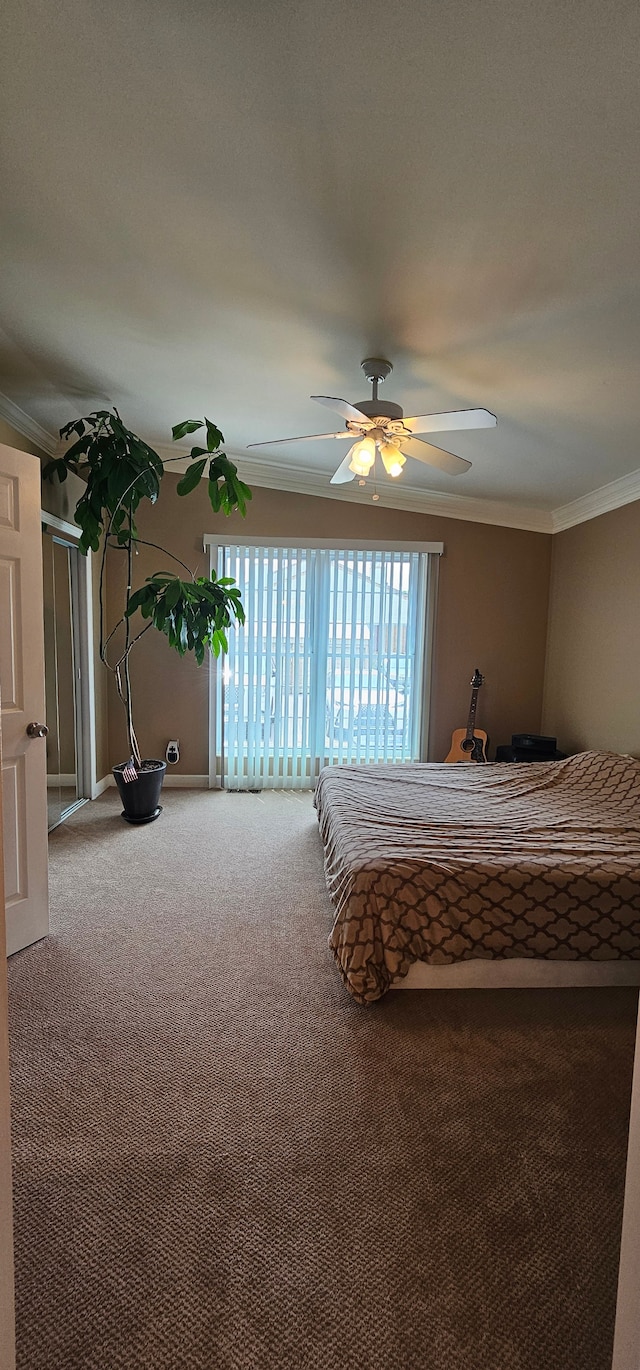 unfurnished bedroom with carpet, ceiling fan, and crown molding