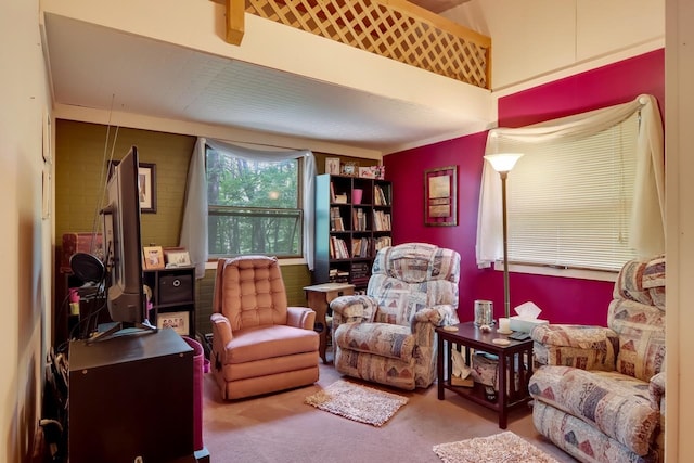 living area with carpet floors