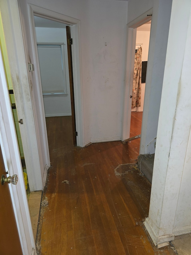 hallway with dark hardwood / wood-style floors