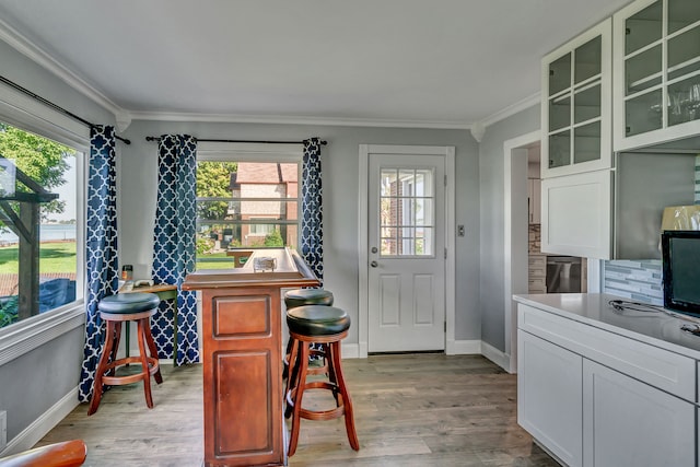 interior space featuring a healthy amount of sunlight, ornamental molding, and light hardwood / wood-style flooring