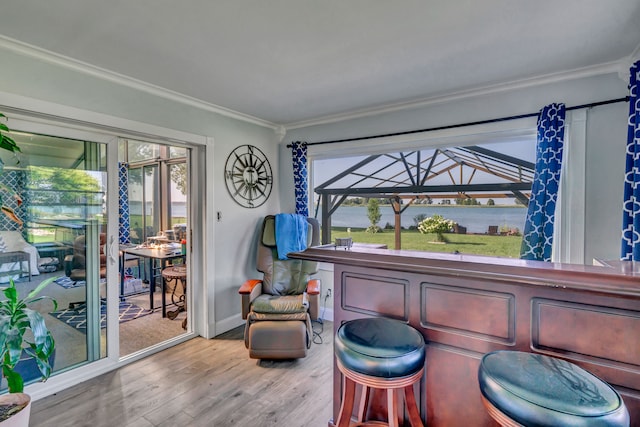 bar with a water view, crown molding, a wealth of natural light, and light hardwood / wood-style flooring