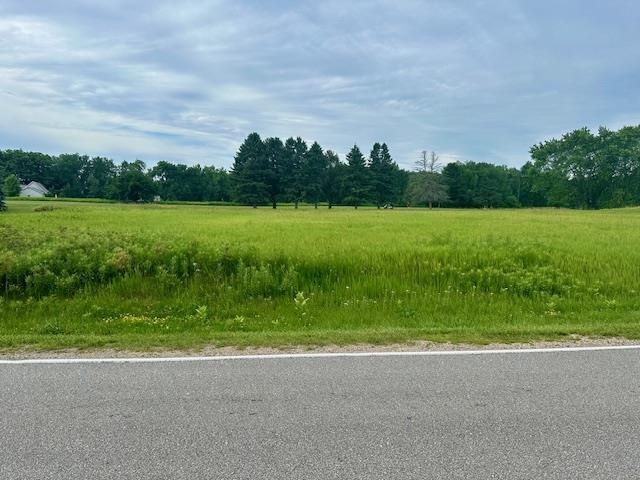 1011 Birdie, Weidman, MI 48893