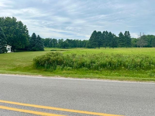 1011 Birdie, Weidman, MI 48893