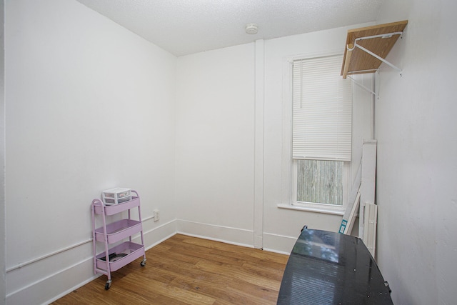 interior space with wood finished floors