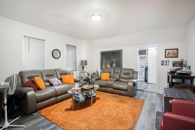 living area with wood finished floors