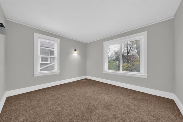 carpeted empty room with crown molding