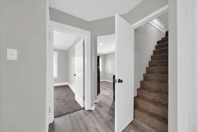 staircase with hardwood / wood-style flooring and a wealth of natural light