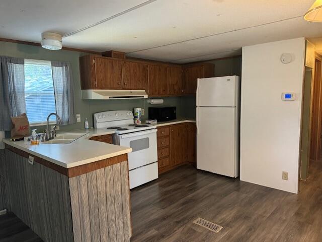 kitchen with sink, dark hardwood / wood-style flooring, kitchen peninsula, white appliances, and exhaust hood