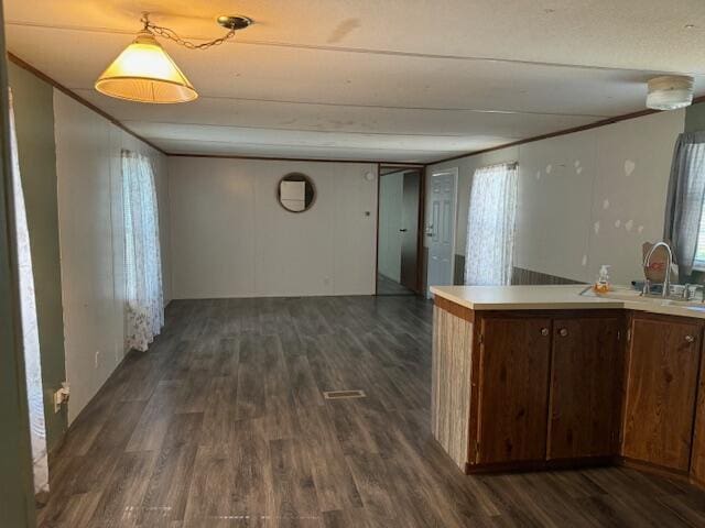 kitchen featuring dark hardwood / wood-style flooring and sink