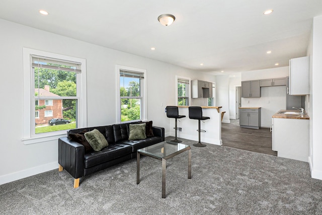 living room with plenty of natural light, dark hardwood / wood-style floors, and sink